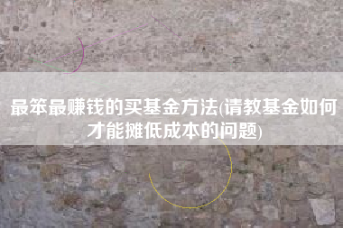 最笨最赚钱的买基金方法(请教基金如何才能摊低成本的问题)