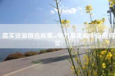 嘉实资源精选股票a(电力基金哪个最值得买)