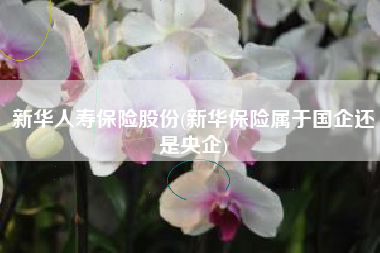 新华人寿保险股份(新华保险属于国企还是央企)