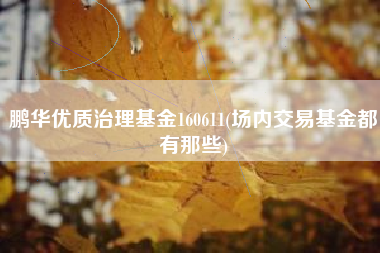 鹏华优质治理基金160611(场内交易基金都有那些)