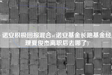 诺安积极回报混合a(诺安基金长跑基金经理夏俊杰离职后去哪了)