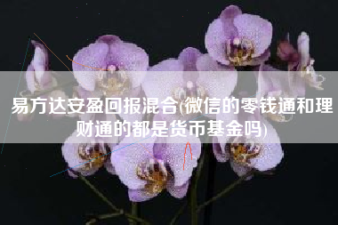 易方达安盈回报混合(微信的零钱通和理财通的都是货币基金吗)