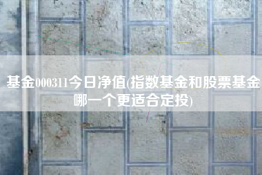 基金000311今日净值(指数基金和股票基金哪一个更适合定投)