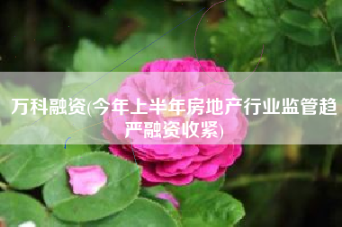 万科融资(今年上半年房地产行业监管趋严融资收紧)