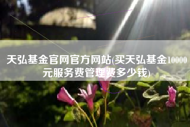 天弘基金官网官方网站(买天弘基金10000元服务费管理费多少钱)
