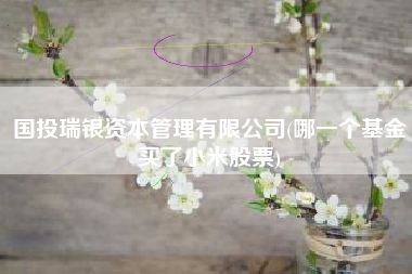 国投瑞银资本管理有限公司(哪一个基金买了小米股票)