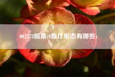 002578股票(0操作形态有哪些)