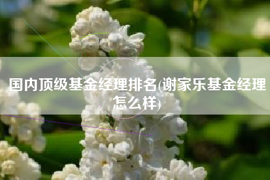 国内顶级基金经理排名(谢家乐基金经理怎么样)