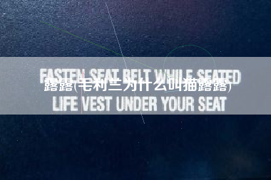 露露(毛利兰为什么叫猫露露)
