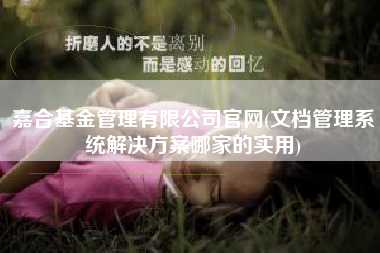 嘉合基金管理有限公司官网(文档管理系统解决方案哪家的实用)