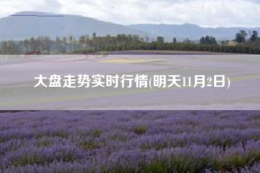 大盘走势实时行情(明天11月2日)