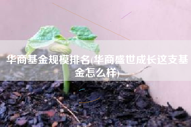 华商基金规模排名(华商盛世成长这支基金怎么样)