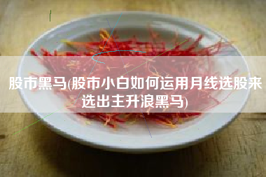 股市黑马(股市小白如何运用月线选股来选出主升浪黑马)