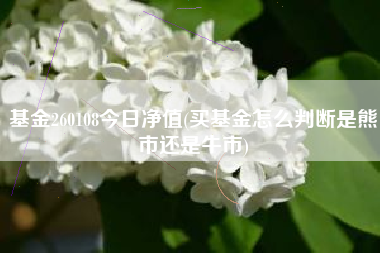 基金260108今日净值(买基金怎么判断是熊市还是牛市)