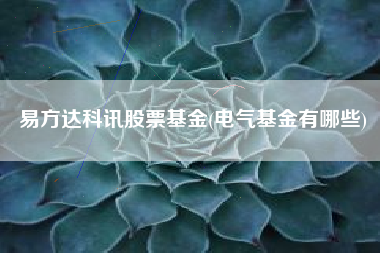 易方达科讯股票基金(电气基金有哪些)