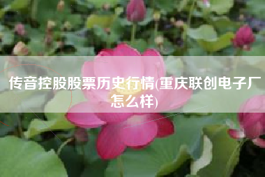 传音控股股票历史行情(重庆联创电子厂怎么样)