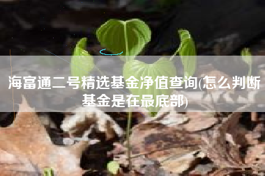 海富通二号精选基金净值查询(怎么判断基金是在最底部)