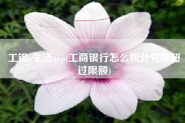 工银e生活app(工商银行怎么积分兑换超过限额)