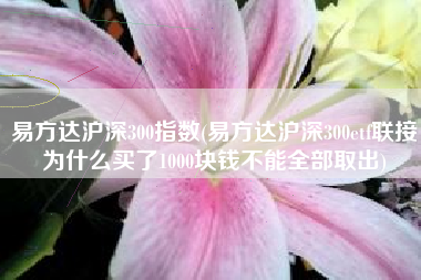 易方达沪深300指数(易方达沪深300etf联接为什么买了1000块钱不能全部取出)