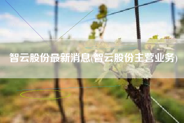智云股份最新消息(智云股份主营业务)