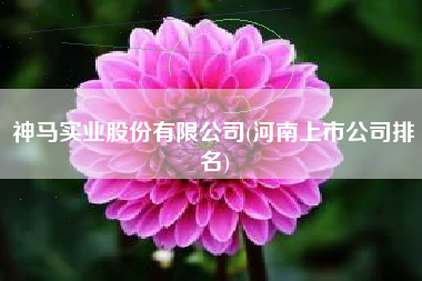 神马实业股份有限公司(河南上市公司排名)