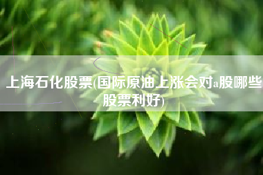 上海石化股票(国际原油上涨会对a股哪些股票利好)
