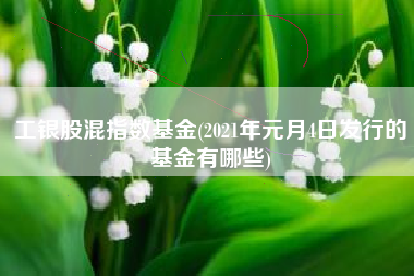 工银股混指数基金(2021年元月4日发行的基金有哪些)