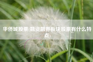 华侨城股票(融资融券板块股票有什么特点)