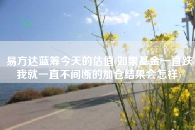 易方达蓝筹今天的估值(如果基金一直跌我就一直不间断的加仓结果会怎样)