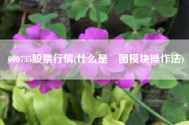 000735股票行情(什么是罫图模块操作法)