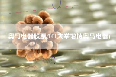 奥马电器股票(TCL大举增持奥马电器)