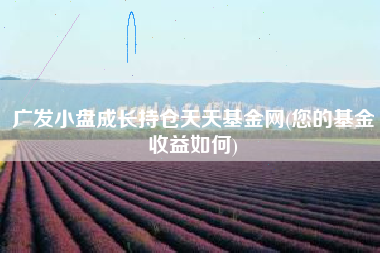 广发小盘成长持仓天天基金网(您的基金收益如何)