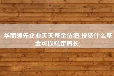 华商领先企业天天基金估值(投资什么基金可以稳定增长)