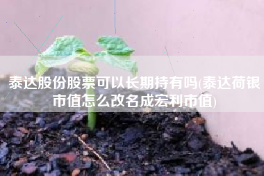 泰达股份股票可以长期持有吗(泰达荷银市值怎么改名成宏利市值)