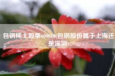 包钢稀土股票600010(包钢股份属于上海还是深圳)