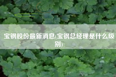 宝钢股份最新消息(宝钢总经理是什么级别)