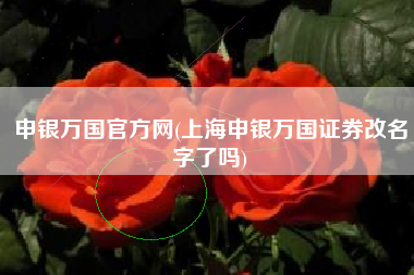 申银万国官方网(上海申银万国证券改名字了吗)