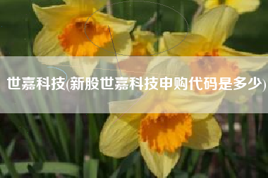 详细阅读:世嘉科技(新股世嘉科技申购代码是多少) 世嘉科技(新股世嘉科技申购代码是多少)