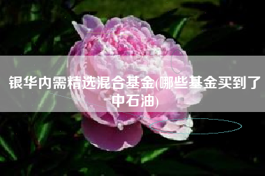 银华内需精选混合基金(哪些基金买到了中石油)