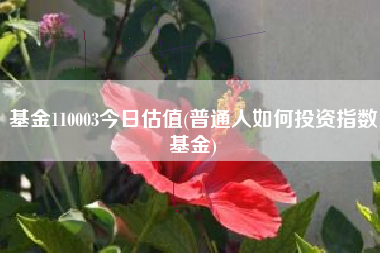 基金110003今日估值(普通人如何投资指数基金)