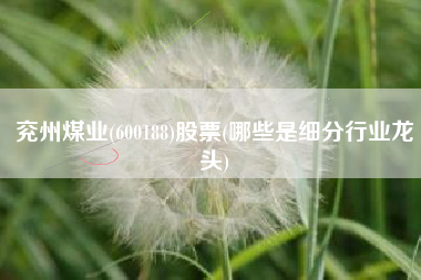 兖州煤业(600188)股票(哪些是细分行业龙头)