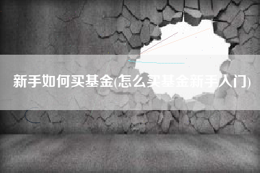 新手如何买基金(怎么买基金新手入门)