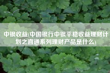 中银收益(中国银行中银平稳收益理财计划之直通系列理财产品是什么)