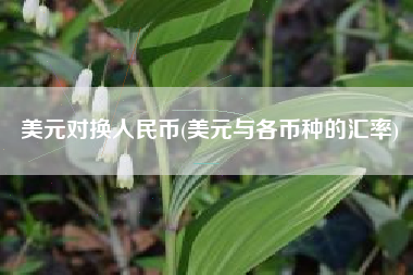 美元对换人民币(美元与各币种的汇率)