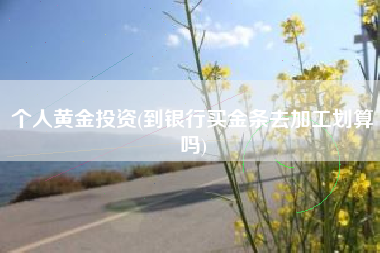 个人黄金投资(到银行买金条去加工划算吗)