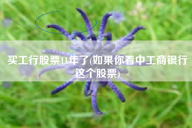 买工行股票11年了(如果你看中工商银行这个股票)