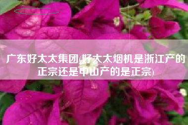 广东好太太集团(好太太烟机是浙江产的正宗还是中山产的是正宗)
