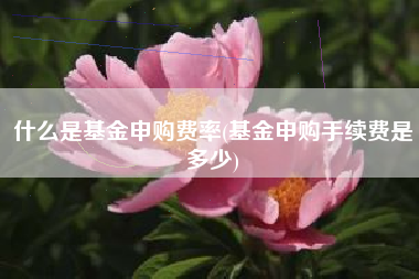 什么是基金申购费率(基金申购手续费是多少)