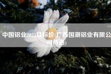 中国铝业2023目标价(广西国潮铝业有限公司待遇)