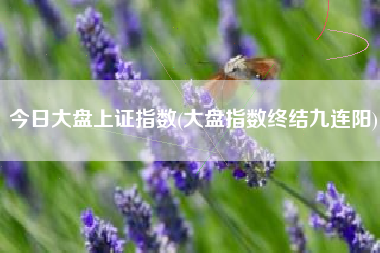 今日大盘上证指数(大盘指数终结九连阳)